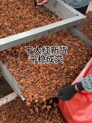 新货大红八角干货,平稳成交 #优质农特产 #八角 #大料 #广西大红八角 #香料