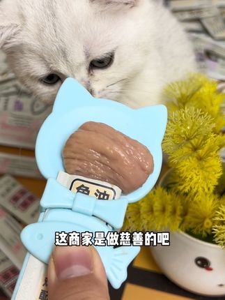 贝格森的鱼油猫条破价啦,质地细条,大猫小猫都爱吃,配料干净,0胶0淀0诱食,大猫小猫都爱吃!!#猫条 #猫条推荐 #萌宠好物 #科学养宠攻略 #养猫经验分享
