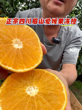 你吃过正宗眉山爱媛果冻橙吗?真正自然成熟的果子九甜一酸,#眉山爱媛果冻橙 #果冻橙