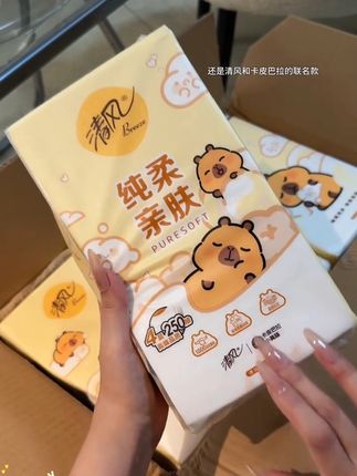 大品牌清风也来卷了!这个价就到手满满一大箱10大提悬挂抽纸!还是卡皮巴拉图案的!#超便宜超划算 #好物推荐#宝妈#抽纸#好东西一起分享