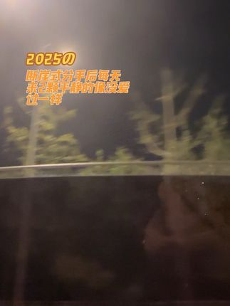 不好奇了先生,你的一切已经归于平静,北去的鸿雁纷飞于眉间 ,无须你倾尽一生为我还愿,从此山高水远,再不会相见。#情绪稳定 #情绪舒缓 #分手#难受#艺谋