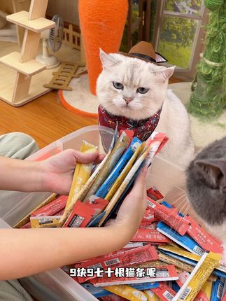 9块9到手70根鲜肉猫条,品质原料,满满的可溯源鲜肉!猫咪吃着补水又长肉#萌宠好物 #养猫新手 #猫条