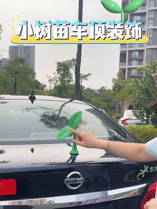 这草怎么长的? 呀~车顶咋还长草了呢#车顶装饰 #小树苗 #把您的爱车打造的与众不同 #汽车有趣装饰品