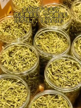 #金银花干#金银花茶 #常喝金银花茶有什么好处 #好喝不贵