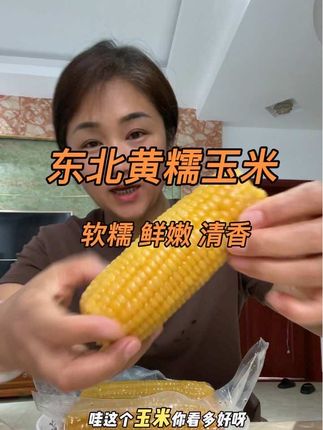这是东北的新黄糯玉米,是真好吃😋软糯 鲜嫩 有着玉米的清香,还带有一点甜,姐妹们支持试吃两根哦,众口难调嘛,好吃就留,感觉不好吃直接退。#玉米 #东北黄糯玉米香甜软糯特别好吃 😋