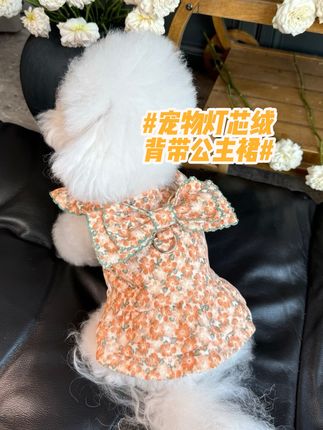 五只小白熊原创宠物衣服秋冬新款灯芯绒背带裙狗狗猫咪加绒公主裙#公主裙 #背带裙 #宠物衣服 #萌宠好物 #灯芯绒