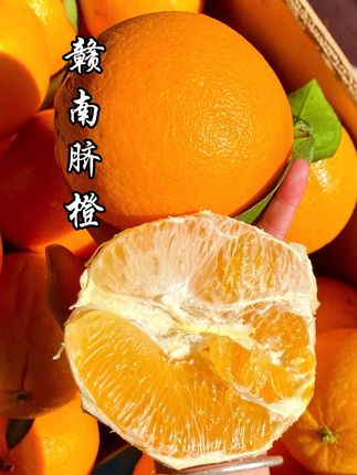 好吃的赣南脐橙下树啦,汁水丰富八甜两酸#口感特别好 #脐橙 #赣南脐橙 #橙子 #新鲜采摘