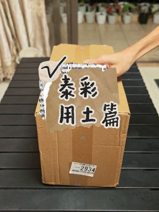 最近伙伴们关心的泰彩用土分享#泰彩#彩叶芋 #彩叶芋养护 #技巧分享 #好物推荐🔥 #种植小技巧