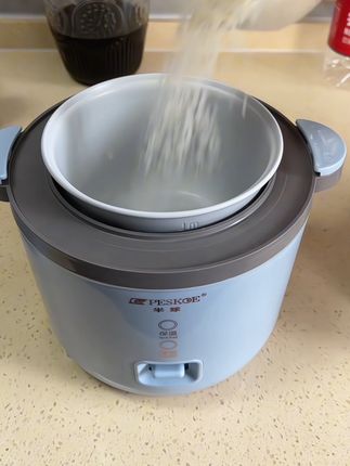 半球大品牌1.2升适合两三个人用的微压迷你电饭煲 #厨房好物 #电饭煲#微压电饭煲#迷你电饭煲 #电饭锅