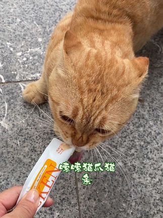 #嗦嗦猫爪猫条 三个口味三文鱼金枪鱼鸡肉适口性猫咪都爱吃快给你家毛孩子安排上吧#猫咪零食推荐 #萌宠好物推荐 #猫咪爱吃 #猫条