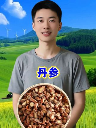 #丹参#好货推荐 #快来看看 #正宗丹参