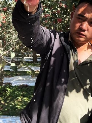 宝你在哪里?我把阿克苏冰糖心给你送过去#阿克苏苹果红了 #自家果园 #基地种植