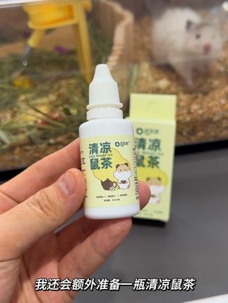 鼠鼠也是会上火的,别等发展成大问题才想起来重视! #养鼠日常分享 #仓鼠 #金丝熊 #仓鼠上火