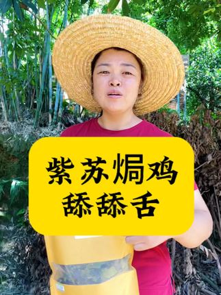 美食紫苏焗鸡,紫苏可以添加在各种菜式上,味道与众不同,当季新鲜采摘紫苏小叶自然晾干无硫#美食制作分享 #下饭菜