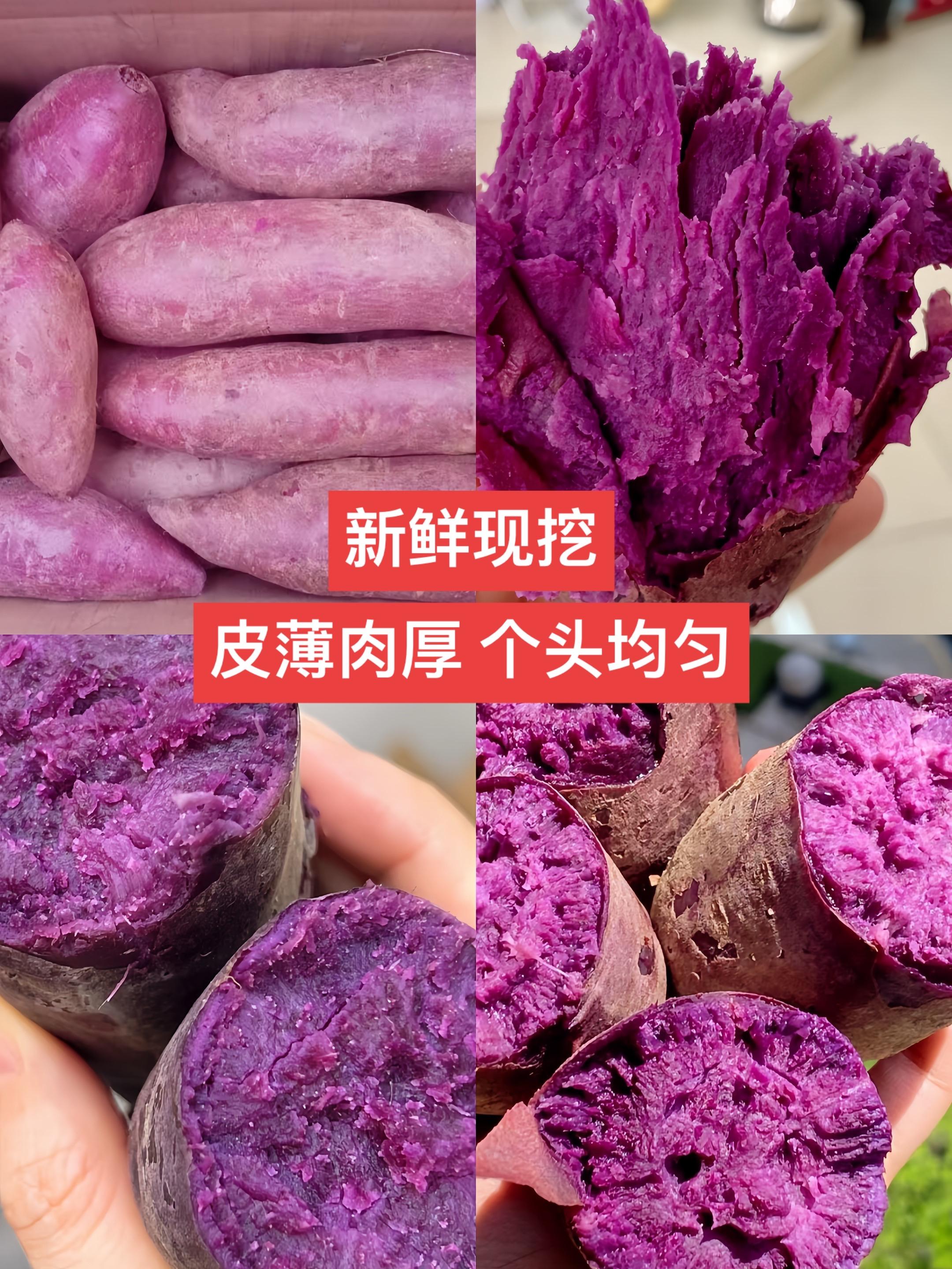 我又回购了这个沙地紫薯。因为我们全家都爱吃,它的口感特别的粉糯香甜,满满的花青素和膳食纤维,真的是营养又美味,而且它都是现挖现发的。每一个都是这种个头均匀、皮薄肉厚的高品质紫薯,平时拿来当早餐或者晚餐吃都很合适,还没尝过的朋友赶紧买回去试试吧!#紫薯 #沙地蜜薯 #板栗红薯 #红薯 #好吃到停不下来