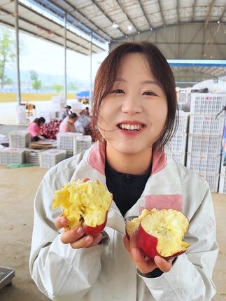 #粉面苹果 正宗天水花牛苹果是既粉又有苹果的汁水,果香浓郁,老人小孩孕妈妈都可以放心吃。#花牛苹果#天水花牛#三农#优质农产品