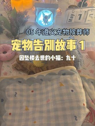 它只是换了种方式安静的陪着你 从业最破防的瞬间
就是主人红着眼眶哽咽:
它这样子,跟睡着了到底有什么区别?
是的 只是安安静静永远睡在了主人的怀里。
毛孩子陪我一程我念它一生
#宠念星禾 #宠物善终 #离别 #遵义宠物殡葬#宠物殡葬#遵义宠物殡葬