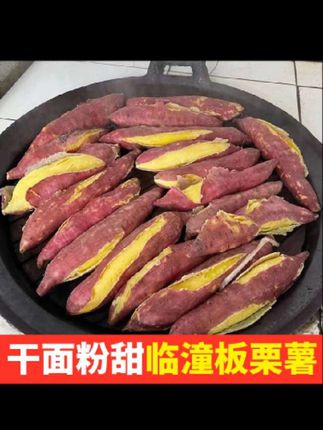 (京东快递)陕西沙地板栗红薯5斤干面香甜烤红薯烟薯新鲜红薯#板栗红薯 #红薯干软糯香甜 #板栗红薯干面粉甜