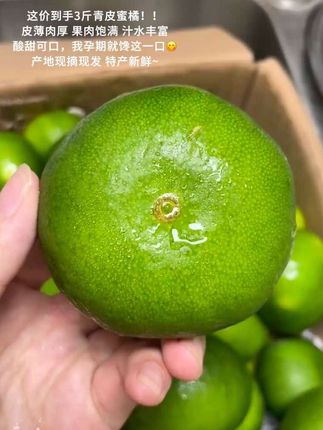 这价到手3斤青皮蜜橘!!皮薄肉厚 果肉饱满 汁水丰富!酸甜可口,我孕期就馋这一口!产地现摘现发 特产新鲜~#新鲜采摘 #应季水果 #青皮蜜橘 #优质水果 #快来一起尝个鲜
