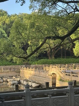 听劝!#旧衣物 一扔一个不吱声#万万没想到 #断舍离