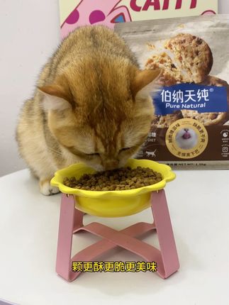 我的天这个酥化猫粮也太好吃了,就这个伯纳天纯的酥化猫粮!#好吃根本停不下来 #新手养宠 #好吃不贵还实惠 #伯纳天纯 #养猫新手