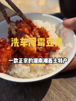 洗车河霉豆腐香麻辣味农家豆腐乳手工湖南湘西龙山土特产正宗下饭