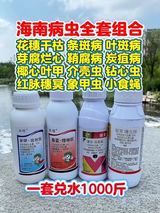 海南难打的病虫害使用这个四瓶套餐 #槟榔#槟榔树#槟榔种植#海南#种植