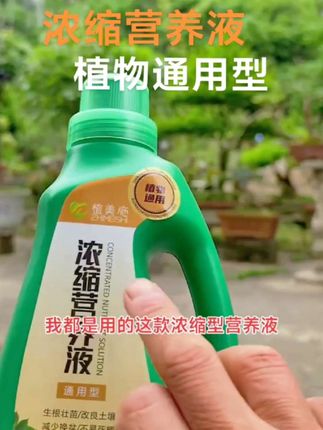 浓缩营养液,兑水浇灌,养花种菜,植物通用型#养花小知识 #家庭种植 #花卉绿植
