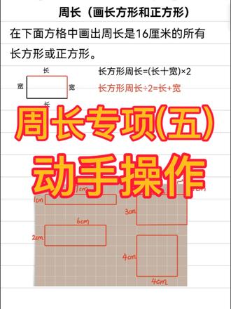 周长专项(五)画长方形和正方形