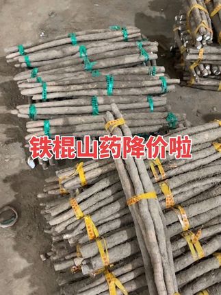 #铁棍山药 #软糯香甜 #新鲜现挖#原产地