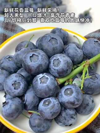 新鲜采摘的超大果蓝莓,带着果霜发货,一口爆汁,富含花青素,家里孩子要多吃。#蓝莓 #优质农产品 #水果 #无限回购的宝藏单品