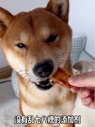 给狗子选零食,就要选这样营养丰富的#狗狗零食 #狗子的日常 #蛋黄鸭肉干