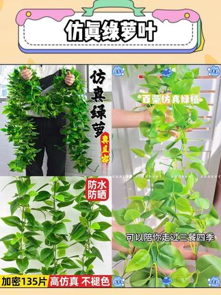 #室内绿植 #好物推荐🔥 仿真绿萝叶藤条