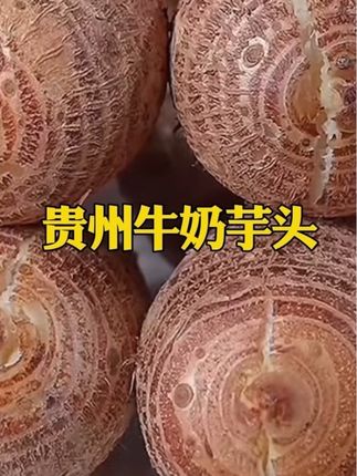 贵州牛奶芋头#好物推荐 #