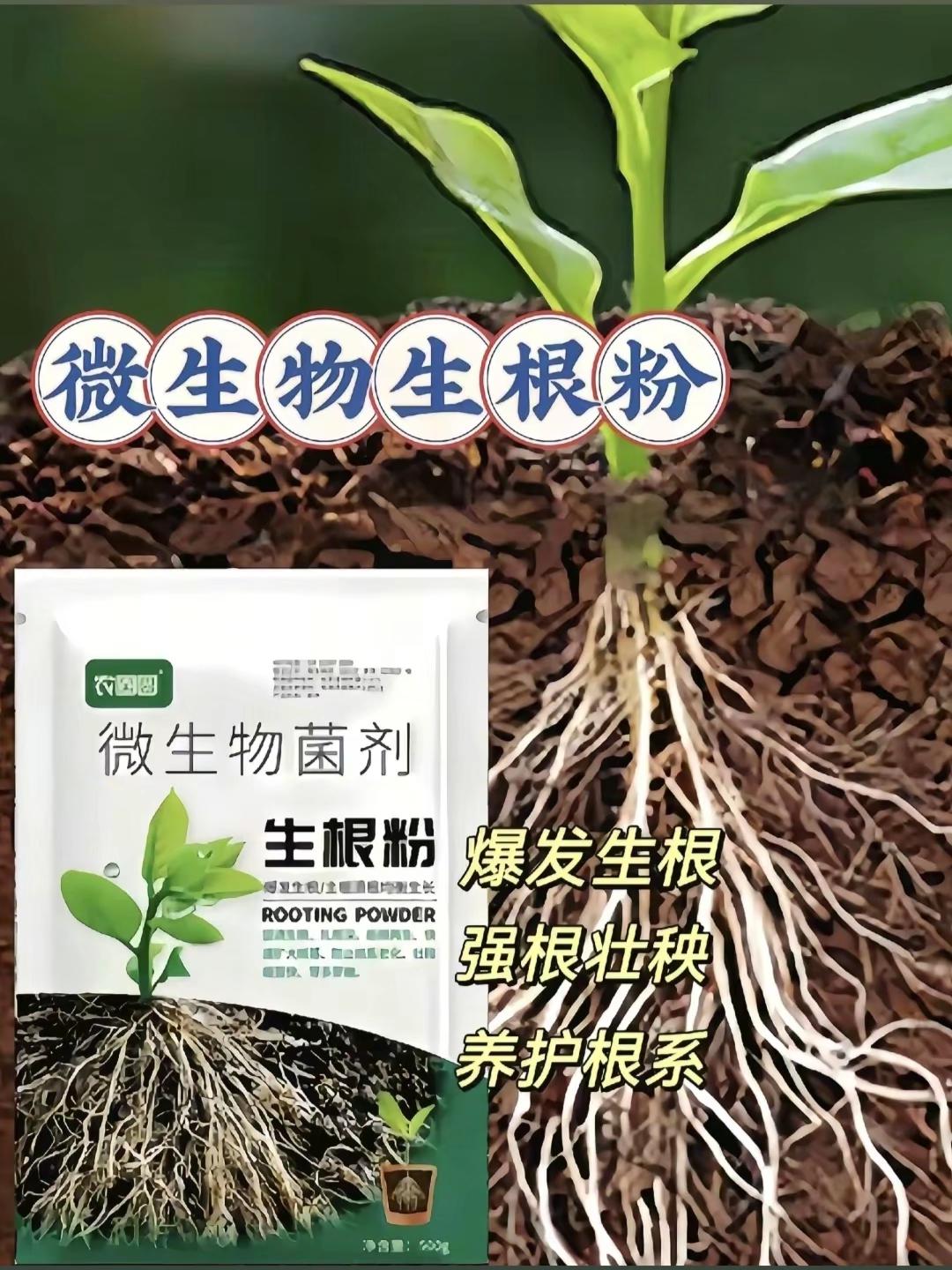 生根爆根粉