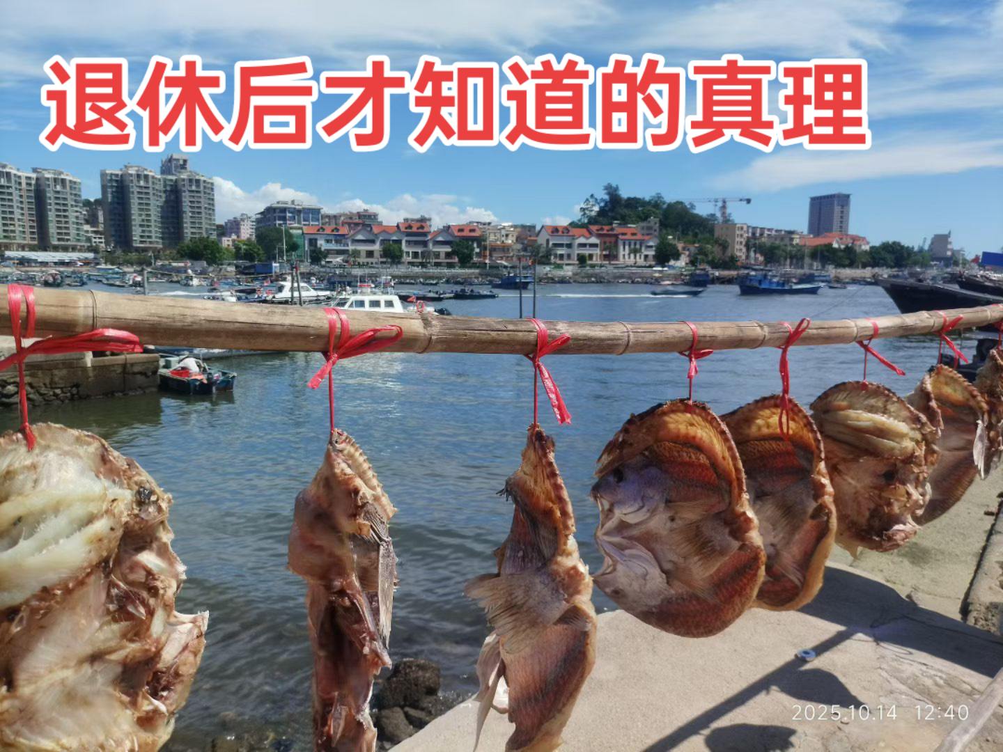 视频