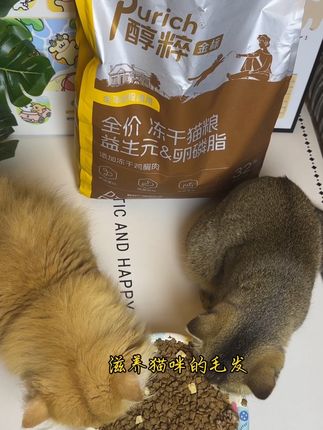 79块10斤醇粹金标猫粮!这可是大品牌醇粹呀!刷到还是这个价格千万别错过!#萌宠出道计划 #萌宠好物 #醇粹 #醇粹猫粮 #醇粹金标猫粮