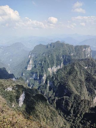 俺囊这几天没帮三舅妈带孩子 三舅妈生气了#家庭情感 #乡村守护人 #每日分享 #洁厕剂