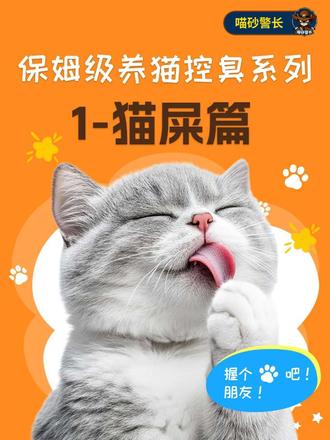 新手养猫必看!保姆级养猫控臭教程,猫屎太臭怎么办! #猫屎 #铲屎官 #养猫经验分享 #养猫经验分享 #宠物
