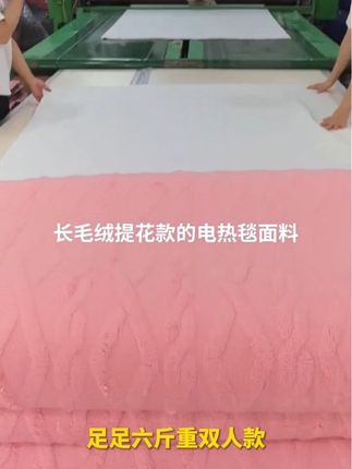 #电褥子 #电热毯 #取暖神器 #取暖好物 #水暖毯