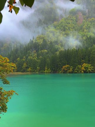 不来九寨沟 你都不会知道中国顶级景区的含金量.#九寨沟
