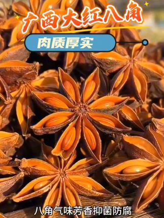 平时在家炖菜,卤肉,烧菜的都会放这个调料,就是这个广西老树八角,茴香肉骨真的太美味了!干巴干巴的半斤都一大袋#当季新货#八角#广西老树八角 #广西大红八角 #八角大料