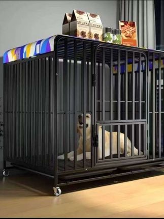 狗笼子大型狗不锈钢狗笼全方管中型犬狗窝带厕所金毛拉布拉多笼子#狗笼子#大型犬狗笼子 #不锈钢狗笼子 #狗笼 #