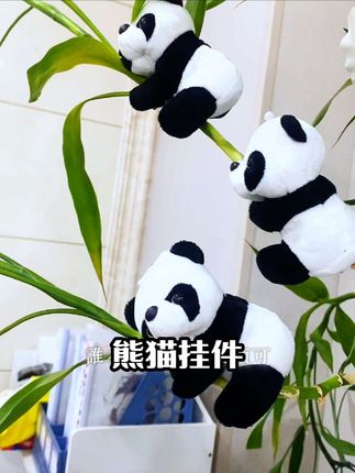 生活从未变的轻松、只是我们慢慢学会了接受和顺从、敬生活里的暗淡、也敬人间的灿烂#熊猫 #熊猫夹子 #绿植挂件 #熊猫挂件 #无限回购的宝藏单品