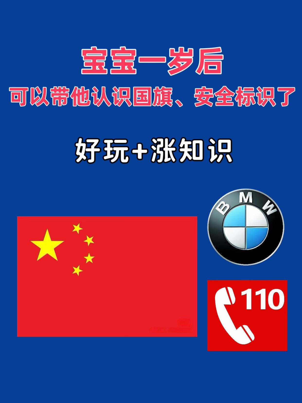 #涨知识 #科普 #国旗 #安全标识 #车标