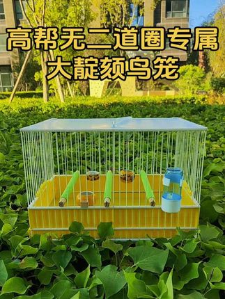 #高帮无二道圈靛颏笼