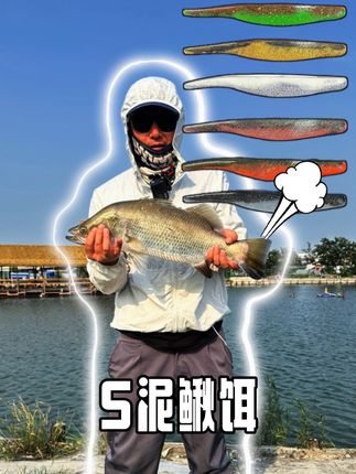 老师们!好久不见,一款宝藏饵,我测试了很不错。#大嫂路亚 #S泥鳅饵