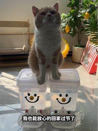 这回回家过中秋不怕猫咪口渴了,上次用智能的,过的还不如流浪猫#萌宠好物 #宠物饮水机 #养猫人 #懒人必备