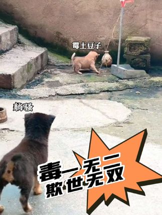 #超级搞笑