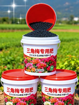#爱生活爱养花 #种植小技巧#好物推荐#三角梅#三角梅养护